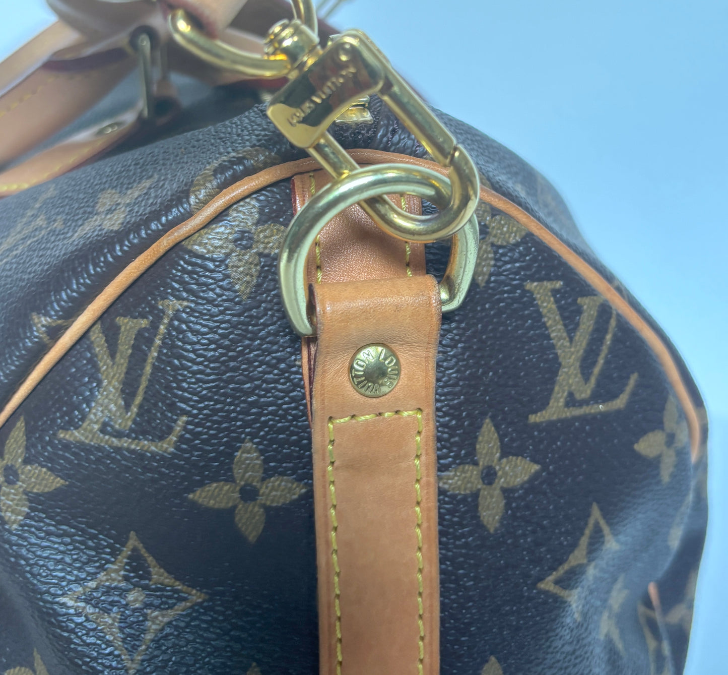 Louis Vuitton Speedy 30 "World Tour" LE.