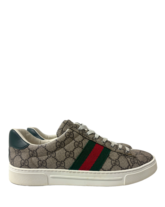Gucci sneakers