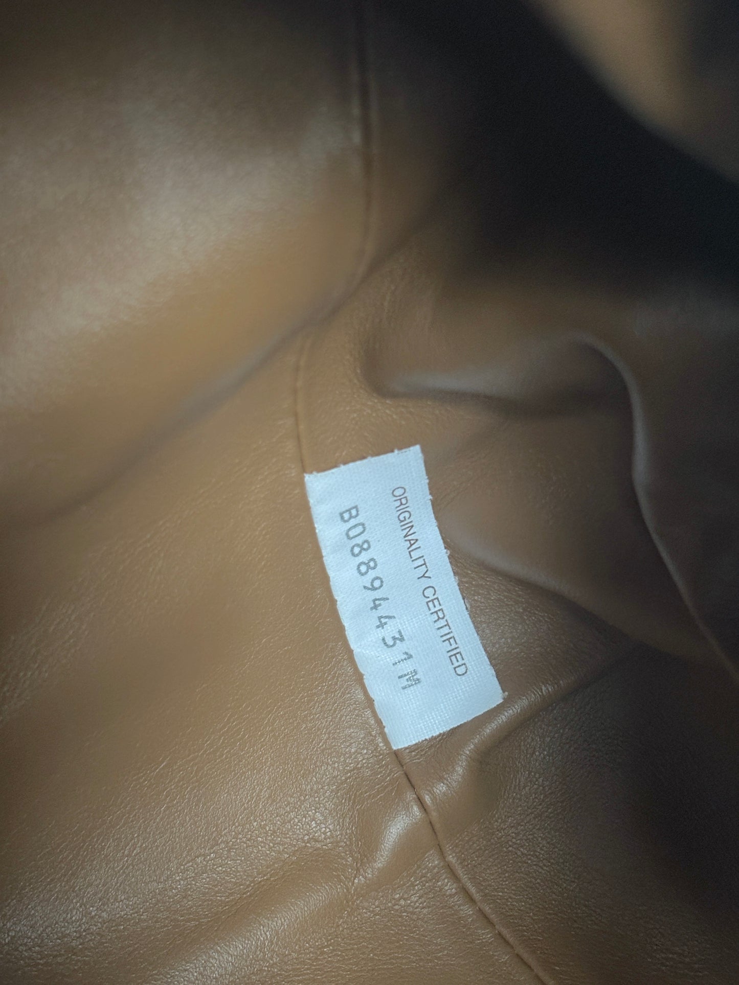 Bottega Veneta "Pouch" clutch