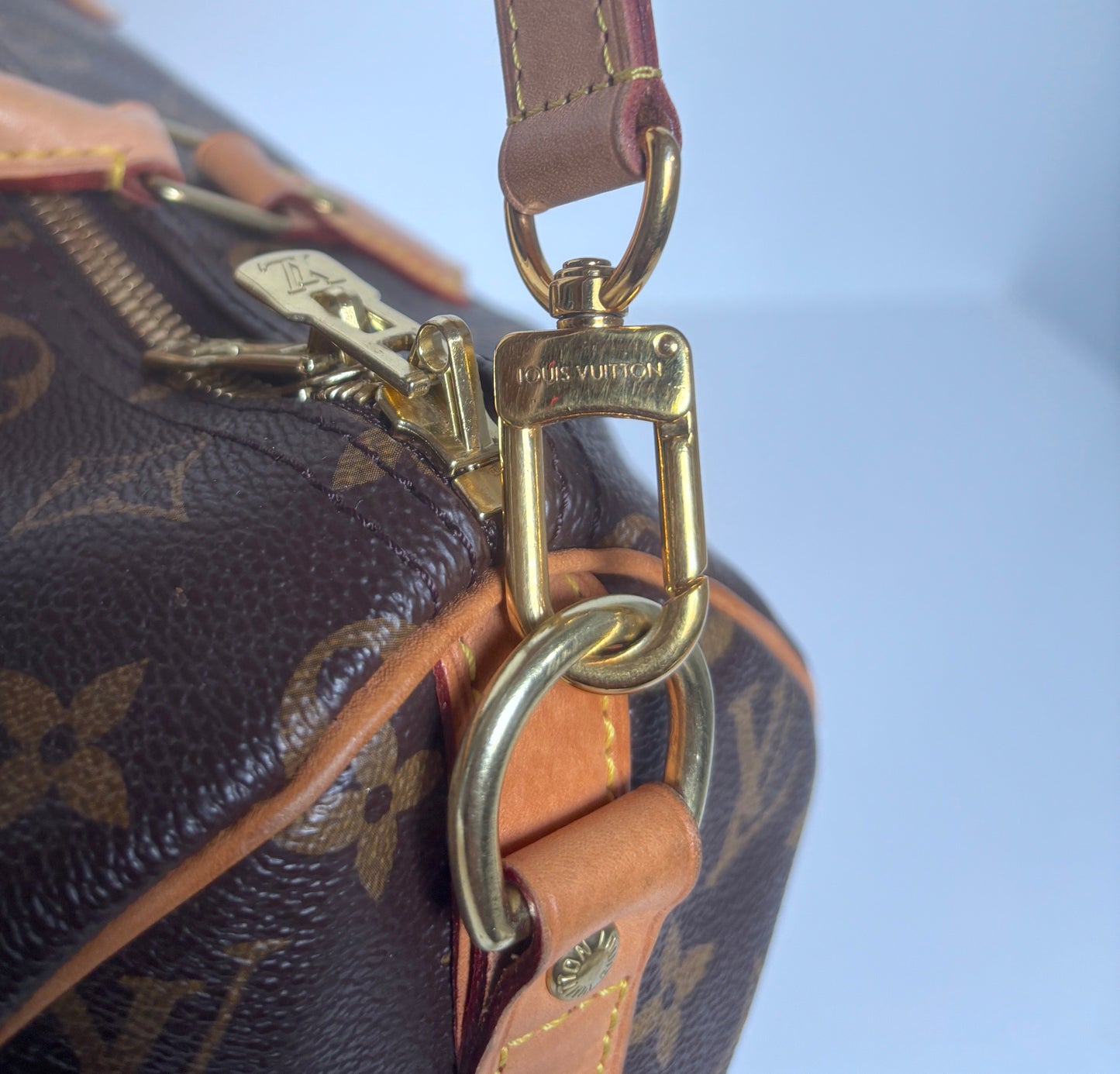 Louis Vuitton Speedy 30 "World Tour" LE.