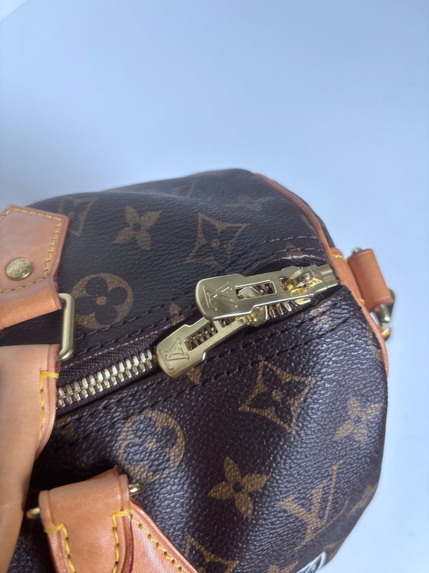Louis Vuitton Speedy 30 "World Tour" LE.