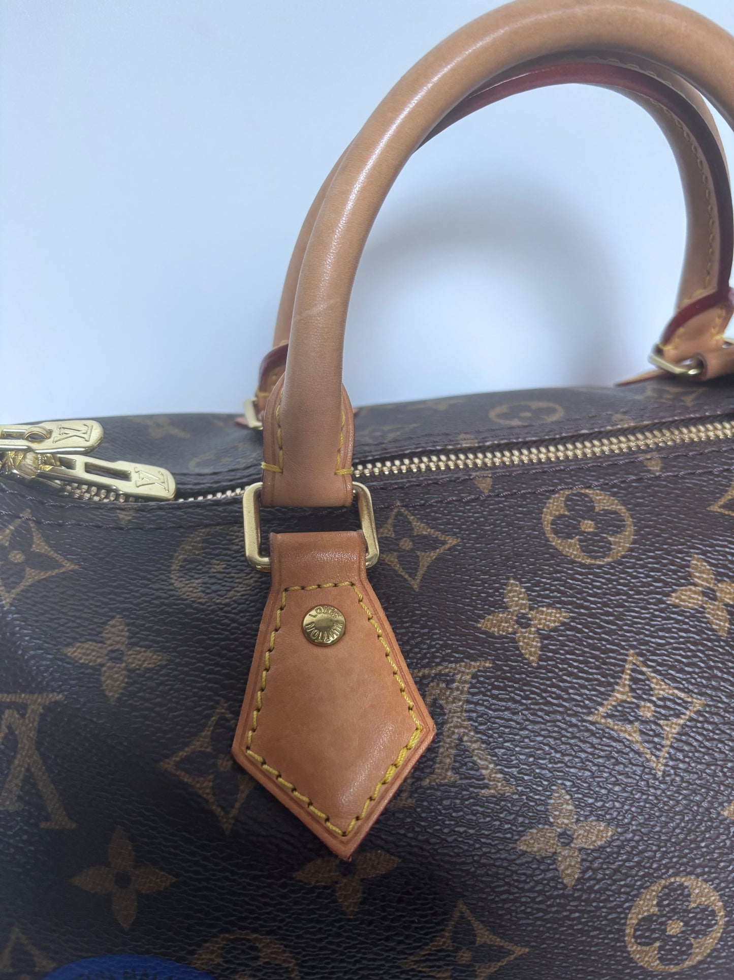 Louis Vuitton Speedy 30 "World Tour" LE.