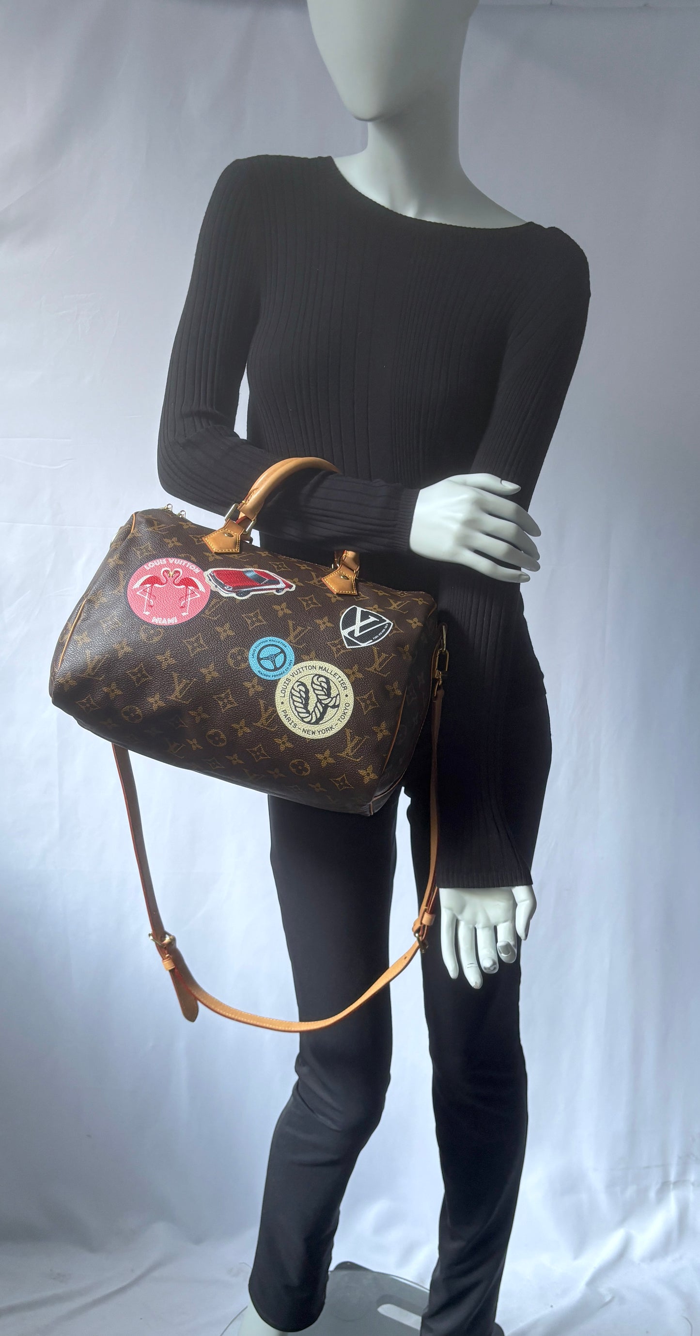Louis Vuitton Speedy 30 "World Tour" LE.