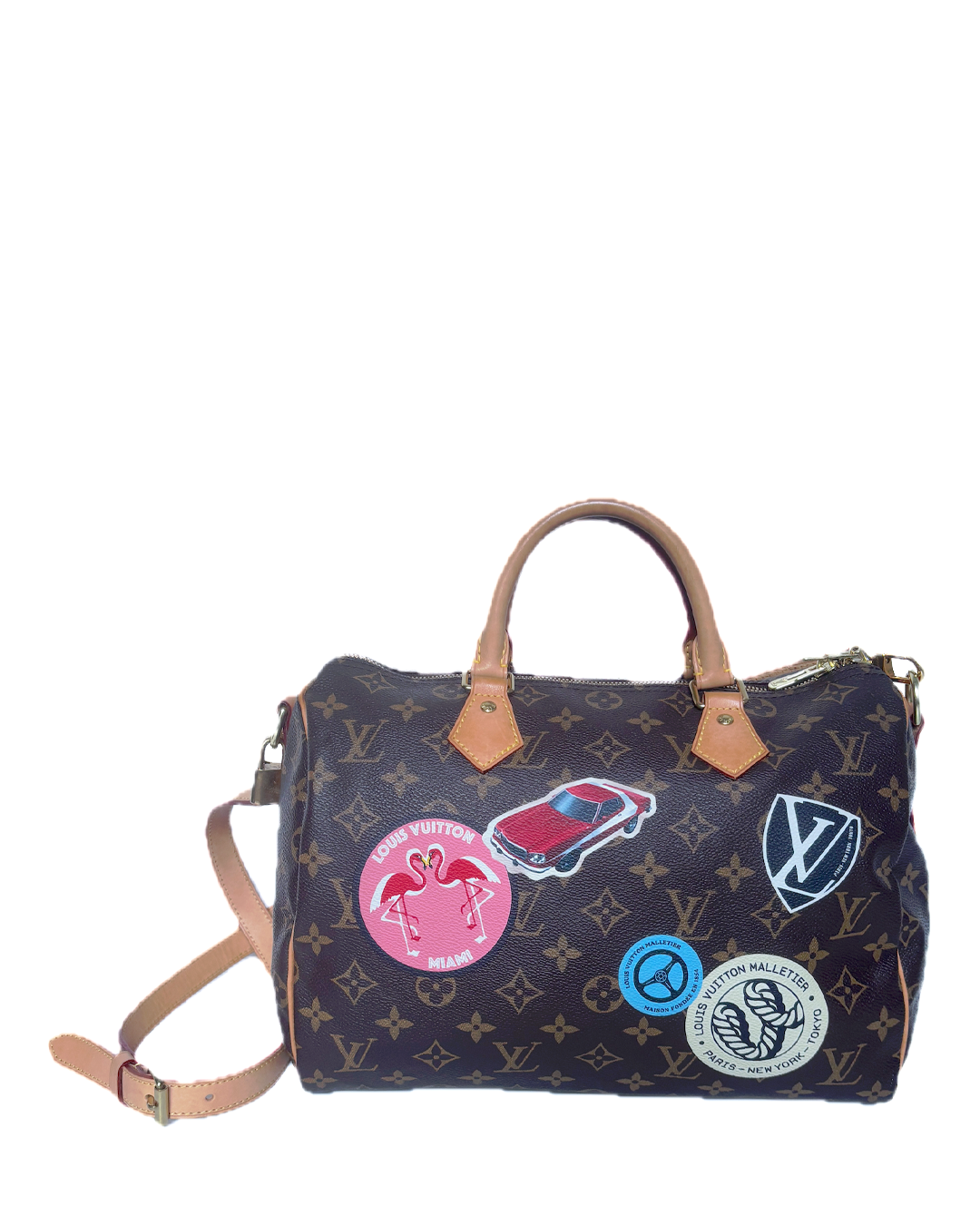 Louis Vuitton Speedy 30 "World Tour" LE.