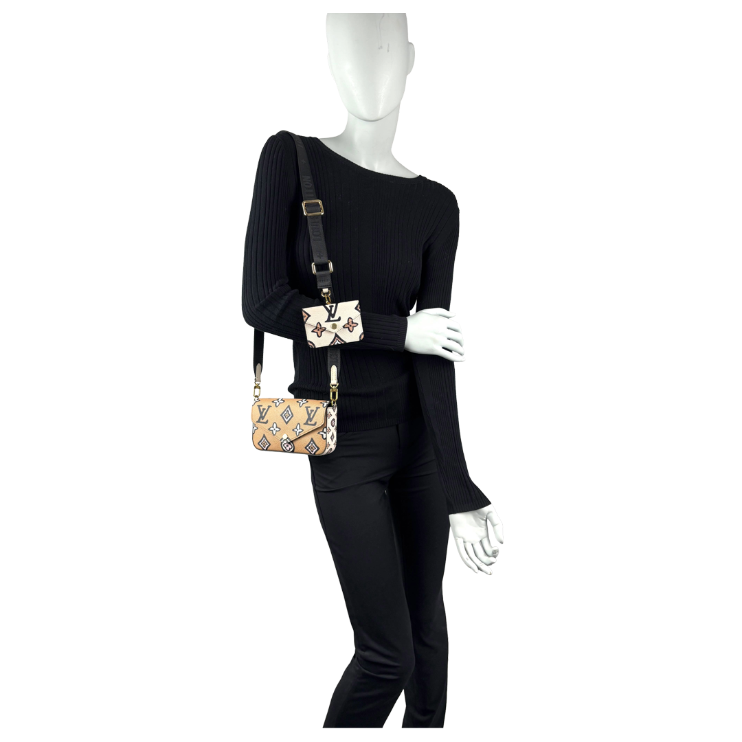Louis Vuitton "Félicie Strap & Go" L.E.